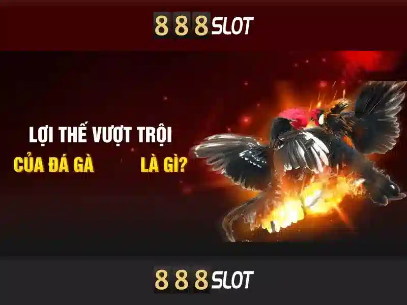 Tính Năng Nổi Bật