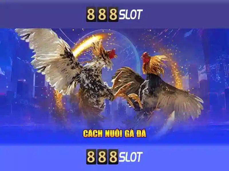 Giới Thiệu Về 888SLOT