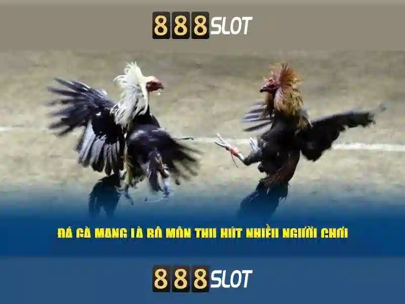 Ưu Điểm Nổi Bật Của Sòng Bạc 888slot
