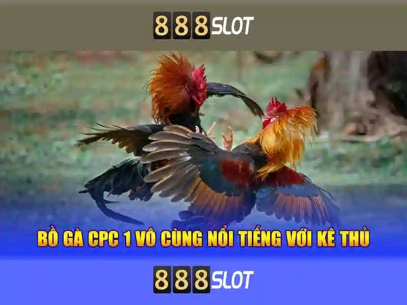 Đăng Ký Tham Gia