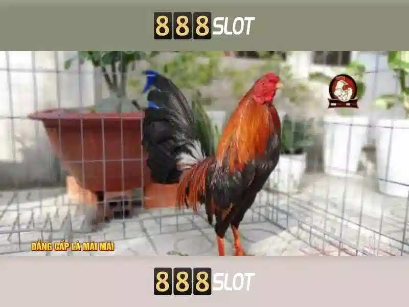 Khám Phá Thế Giới Slot Đa Dạng Tại 888slot