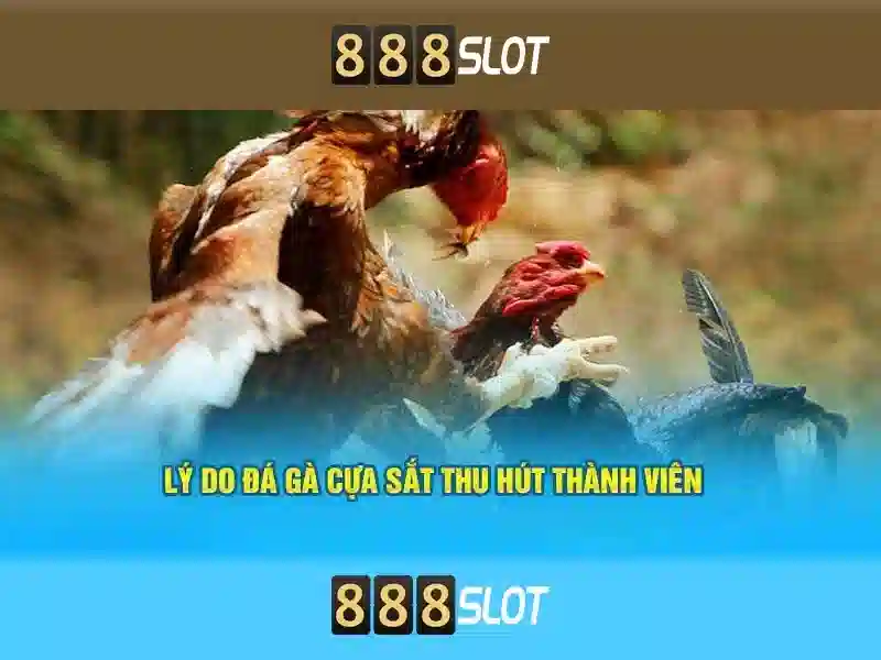 Đảm Bảo An Toàn Cho Người Chơi