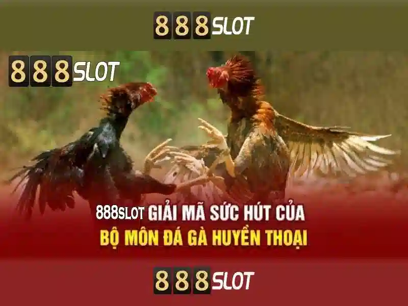 Từ Chối Trách Nhiệm 888SLOT