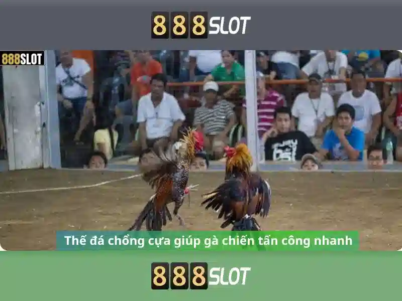 888SLOT – Bí Quyết Chinh Phục 888 Win Slot Đỉnh Cao 2026