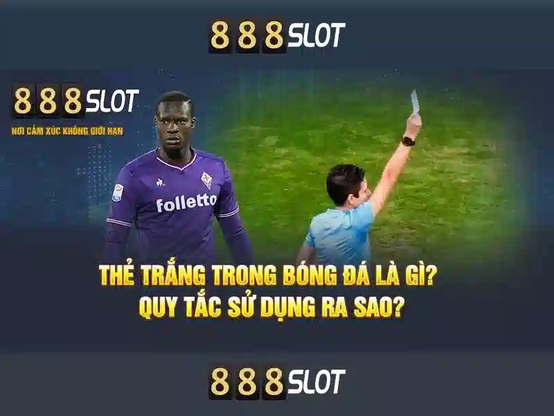 Đặc Điểm Nổi Bật