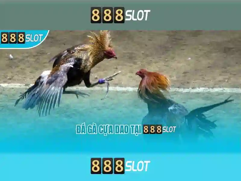 Cách đăng nhập 888slot freebet login