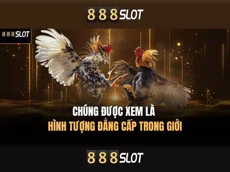 Trò Chơi Slot Nổi Bật 2026