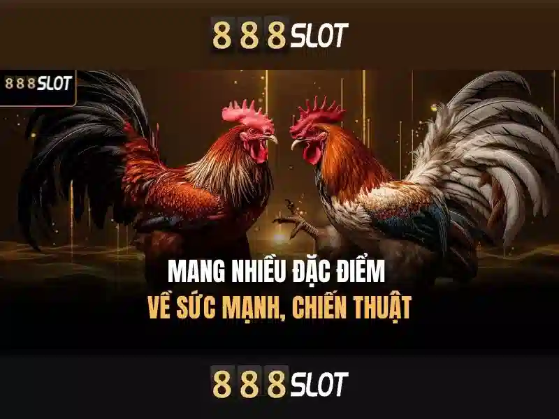 Cách Chơi Slot Hiệu Quả
