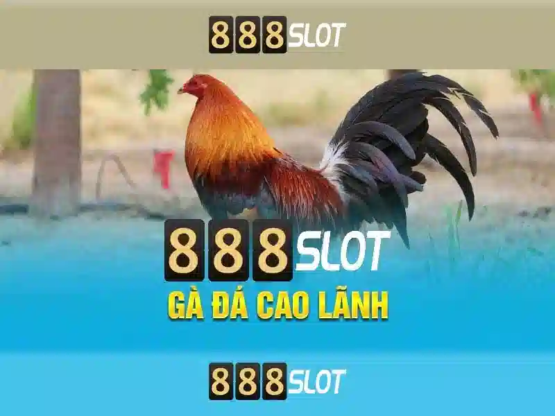 888slot APK – Trải Nghiệm Đỉnh Cao Trên Thiết Bị Di Động