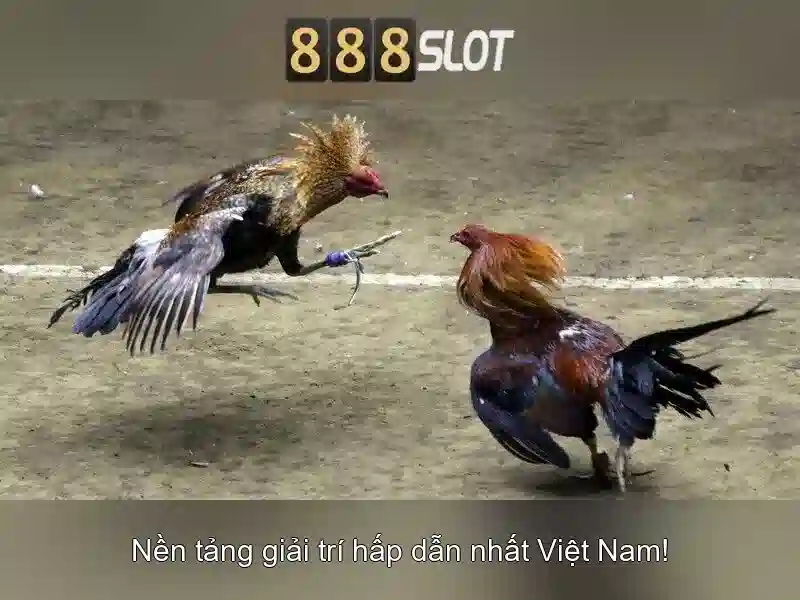 Khuyến Mãi Slot