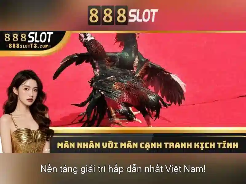 Bật Mí Những Tính Năng Nổi Bật