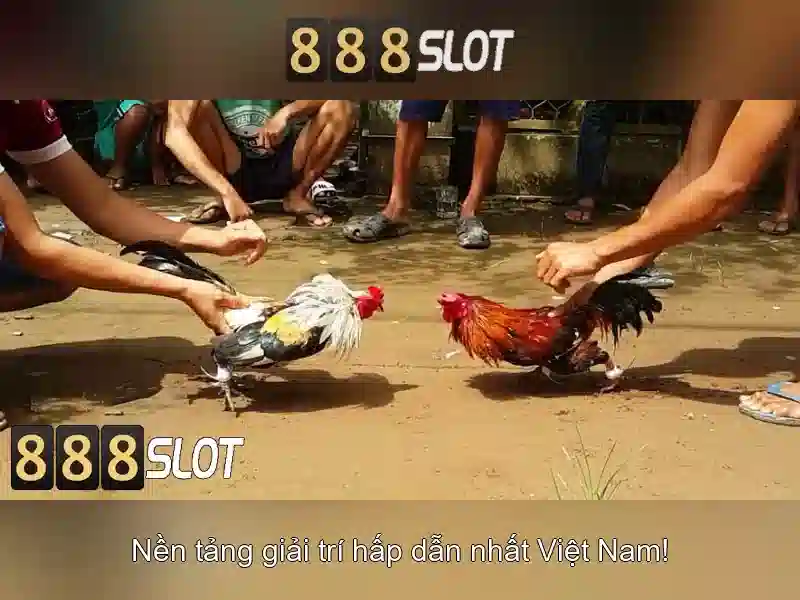 888SLOT – Tải App 888 Slot Miễn Phí, Trải Nghiệm Thú Vị Cho Người Chơi Slot 2026