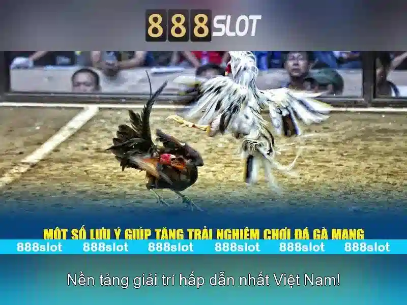 888SLOT – Tải APK Mới Nhất 2026, Trải Nghiệm Slot Online Đỉnh Cao
