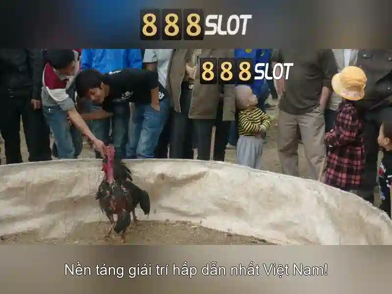 Đa Dạng Thể Lệ Slot