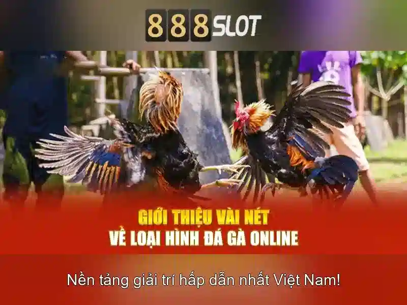 Quy Định 888SLOT