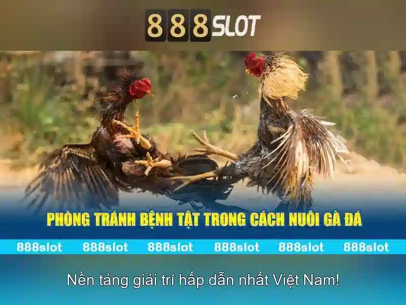 khuyến mãi game 888 slot