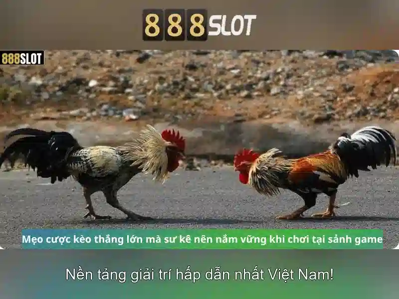GIAO DIỆN ĐẲNG CẤP