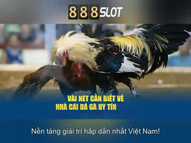 Ưu Điểm Nổi Bật Của 888SLOT